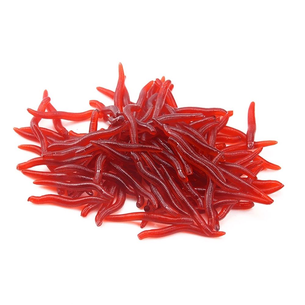 100pcs/Bottle Realistic Tackle - Aglaonema Red review and price