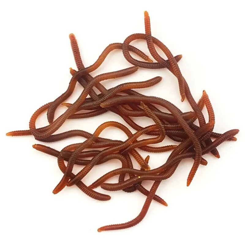 Lifelike Fishy Smell Red Soft  - Aglaonema Red review and price