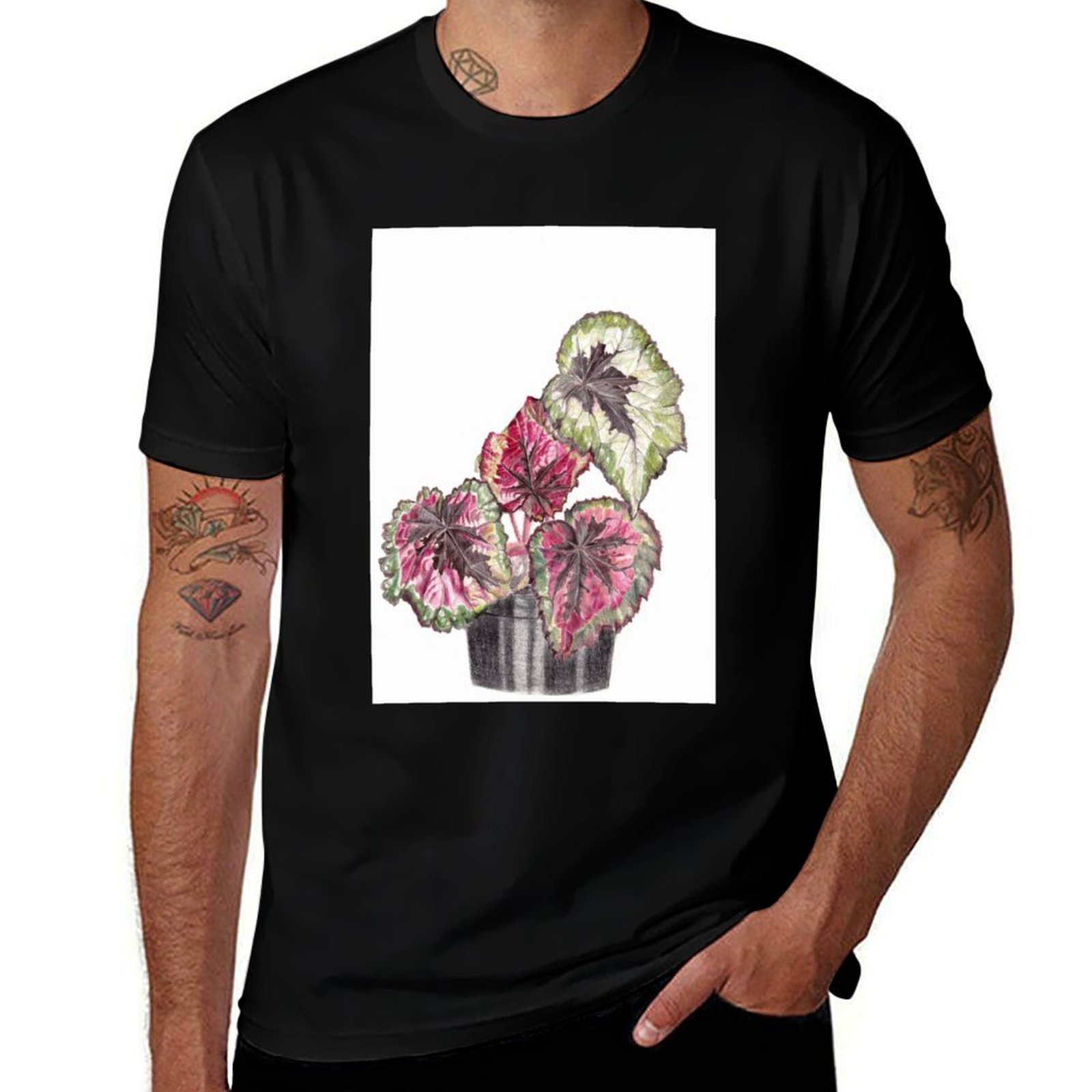 Begonia Rex T-Shirt Comfort St - Begonia Rex review and price