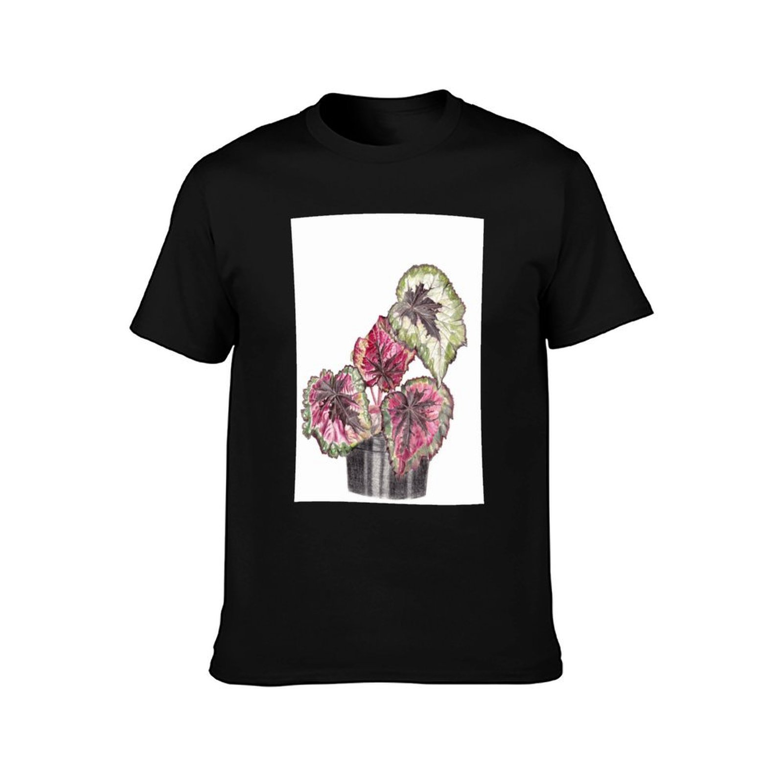 Begonia Rex T-Shirt Comfort St - Begonia Rex review and price